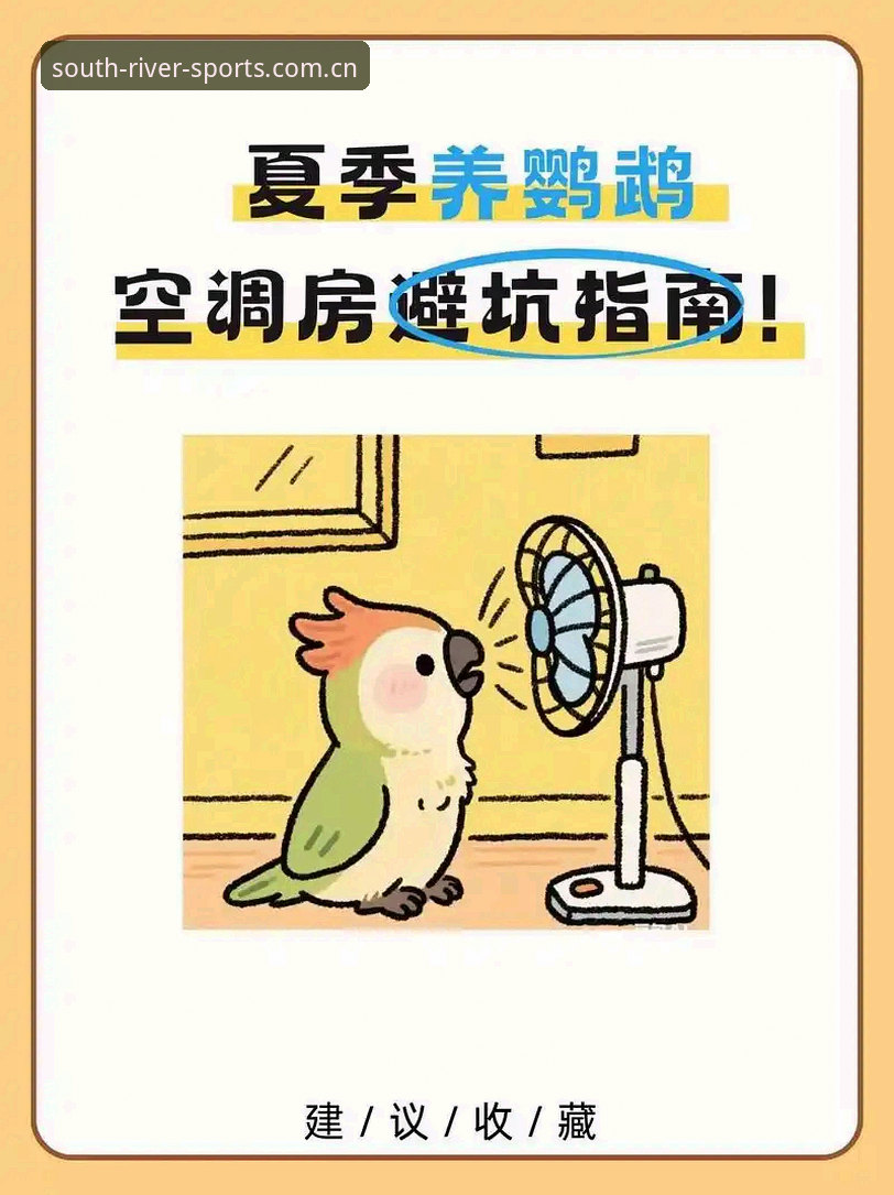 江南体育官方CN登录端避坑指南：常见错误与正确操作详解